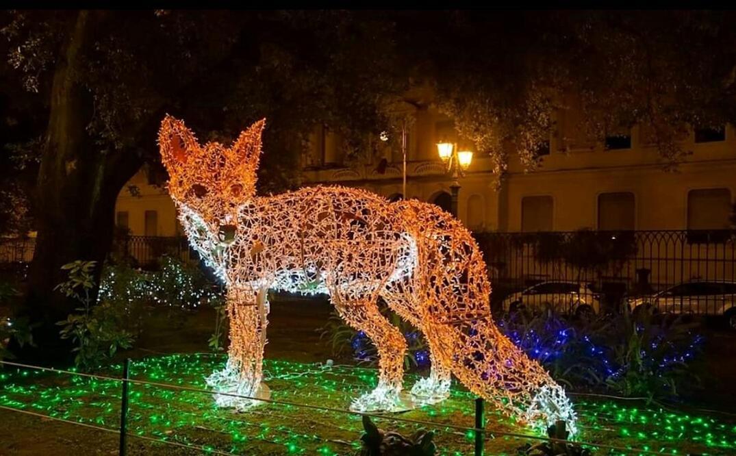 Oasi Al Centro Con Parcheggio 2* Salerno
